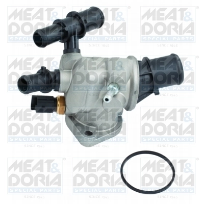 Thermostat, coolant